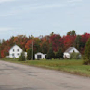 Meet your Posher, Pierrette